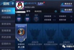 王者皮肤爆料最新账号是多少,揭秘最新账号动态，揭秘神秘皮肤信息