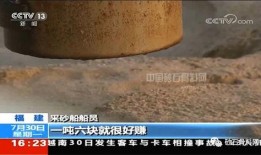 央视最新爆料采海砂