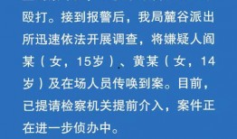 公安爆料霸凌案件最新消息,公安披露校园霸凌案件细节，受害者权益再受关注”