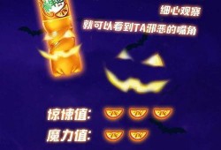 最新款圣装爆料,华丽升级，引领时尚潮流新篇章