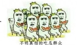 南阳爆料最新事件真相,揭开最新事件真相之谜