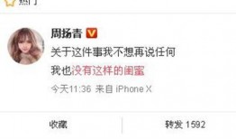 最新的爆料新闻,最新爆料新闻背后的惊人真相