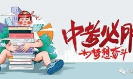 山东国学爆料最新消息今天,今日热点事件深度解析