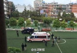 云南小学爆料事件最新消息,真相揭开，家长震惊不已