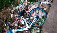 最新土坡自行车爆料视频,最新爆料视频带你领略速度与激情