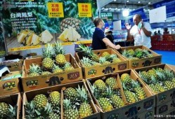 凤梨爆料视频大全最新,揭秘娱乐圈幕后真相