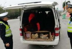 泉州面包车爆料视频最新,揭秘城市生活背后不为人知的真相